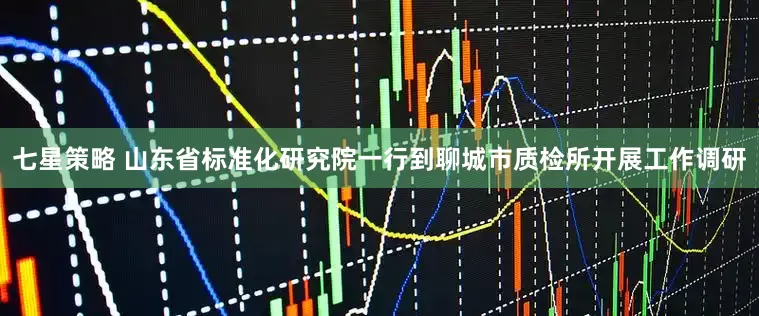 七星策略 山东省标准化研究院一行到聊城市质检所开展工作调研